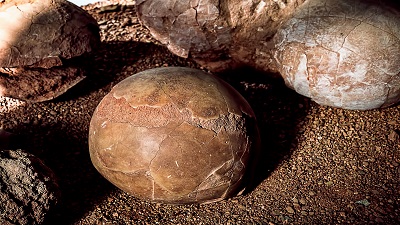 How to Hatch Eggs in Ark