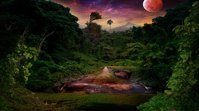 League of Legends Jungle Guide